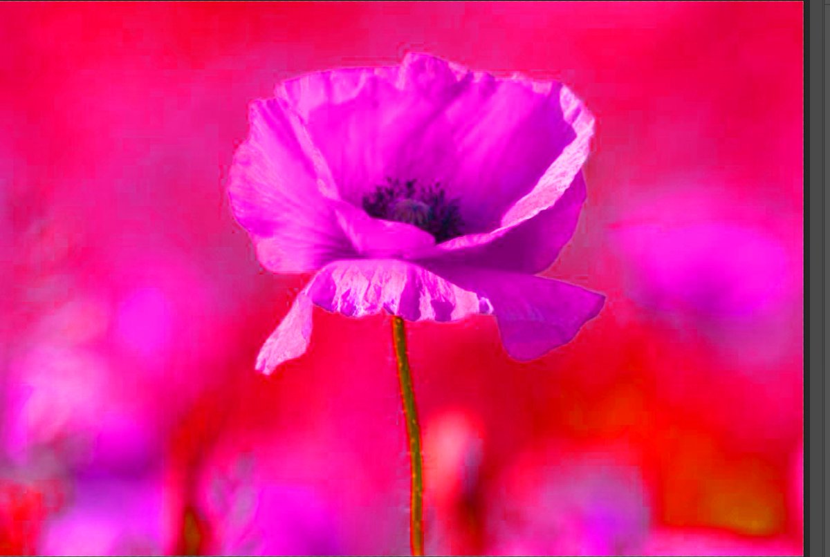 techbytesorg's tweet image. Image editing done by our student Adi from Photoshop workshops. Well done Adi!

#m2mtechbytes #codeai #codeempower #designthinking #animation #graphics #100DaysOfCode #100DaysOfDesign