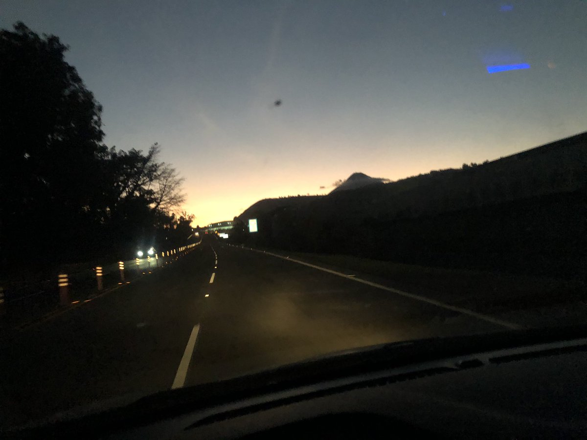 Mish_gt's tweet photo. Que todo el amor que no alcance a darte, te lo den en tu nuevo hogar. 🤲🏻🦴🐾 https://t.co/LircjDqXVJ
