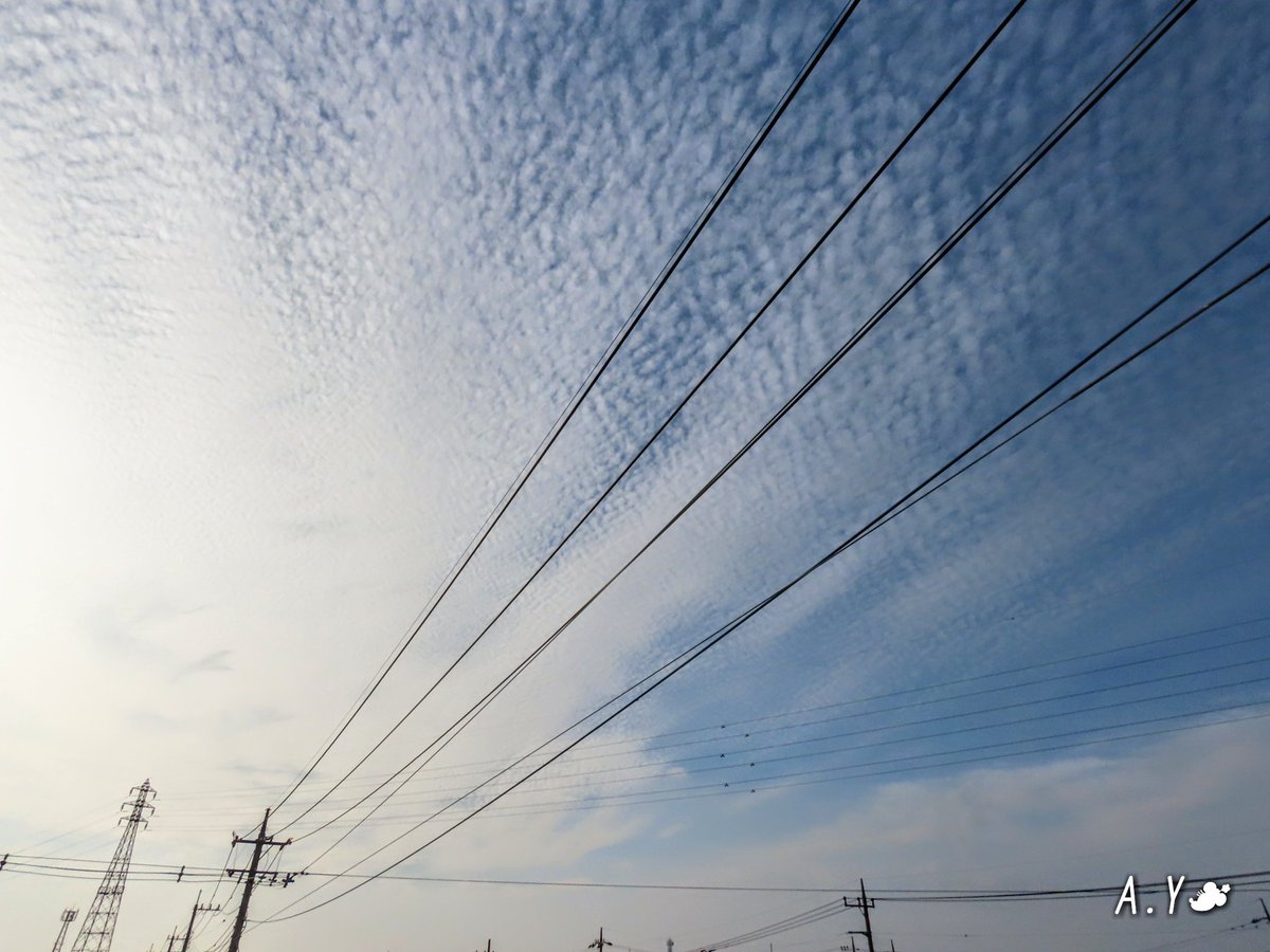 yumeasutw's tweet photo. 鱗雲が、い~っぱい💙
青空に #鱗雲 が波々と
放射状に広がる #昼下がり 🌤️
#いまそら #イマソラ
#空の名前
#雲の教室
#青空 #bluesky
#うろこ雲
#巻積雲
#波状巻積雲
#巻雲
#鉤状巻雲
#鉄塔 #電線 #電柱
#a2020 #a1126 #a202011 #a20201114 https://t.co/Fw0PIEDcfD
