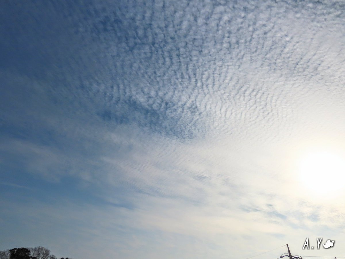 yumeasutw's tweet photo. 鱗雲が、い~っぱい💙
青空に #鱗雲 が波々と
放射状に広がる #昼下がり 🌤️
#いまそら #イマソラ
#空の名前
#雲の教室
#青空 #bluesky
#うろこ雲
#巻積雲
#波状巻積雲
#巻雲
#鉤状巻雲
#鉄塔 #電線 #電柱
#a2020 #a1126 #a202011 #a20201114 https://t.co/Fw0PIEDcfD