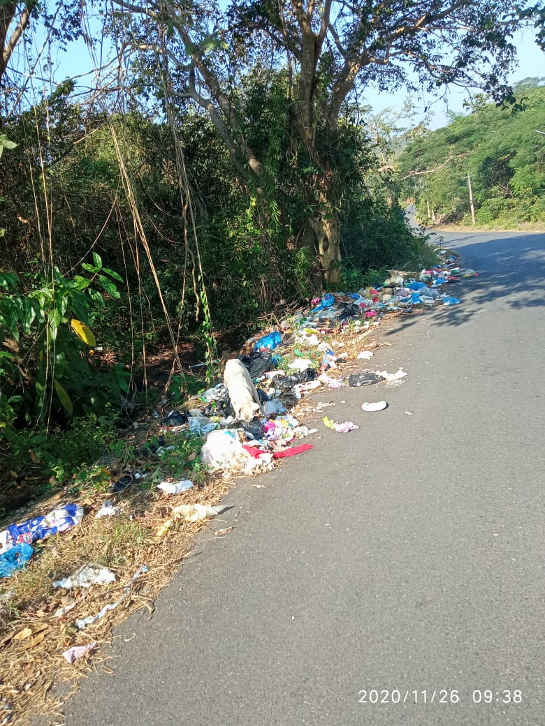 GPNewsMedia24's tweet image. #GarbageCampaign
📌 Near Aldona Health Centre
📸 Edmund Fernandes

If you Come Across any Such Garbage Zone, Click the Best Photo of Dirtiest Garbage &amp;amp; Whatsapp on 950-345-71-74 along with Your Name and Location...
We will Publish it on GP News &amp;amp; Give you Photo Credits