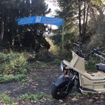 ツイートに含まれる画像