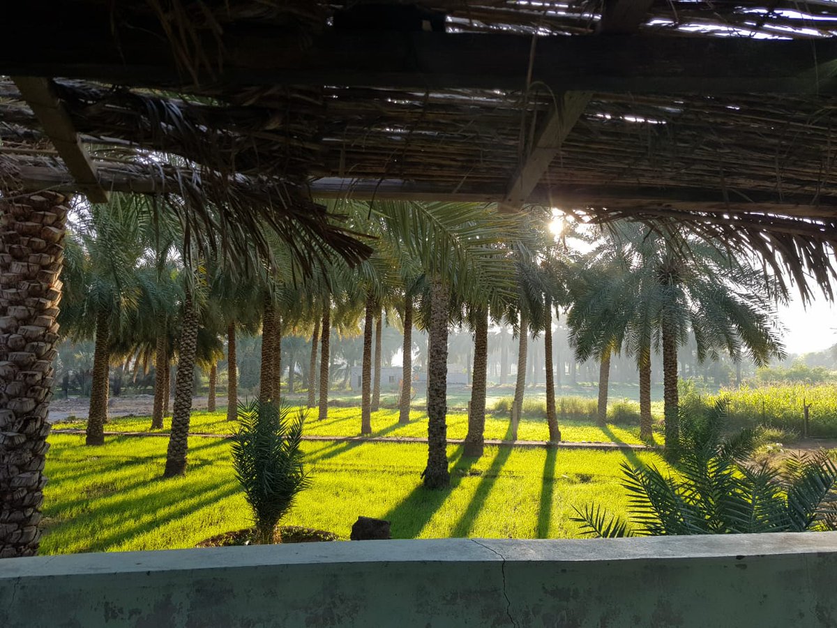 algabri1212's tweet image. #صباح_الخير 

والصبح في وجه الدنا مستبشرٌ
كالبسمة الغراء في وجه الوليد