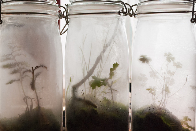 Archillect tweet media