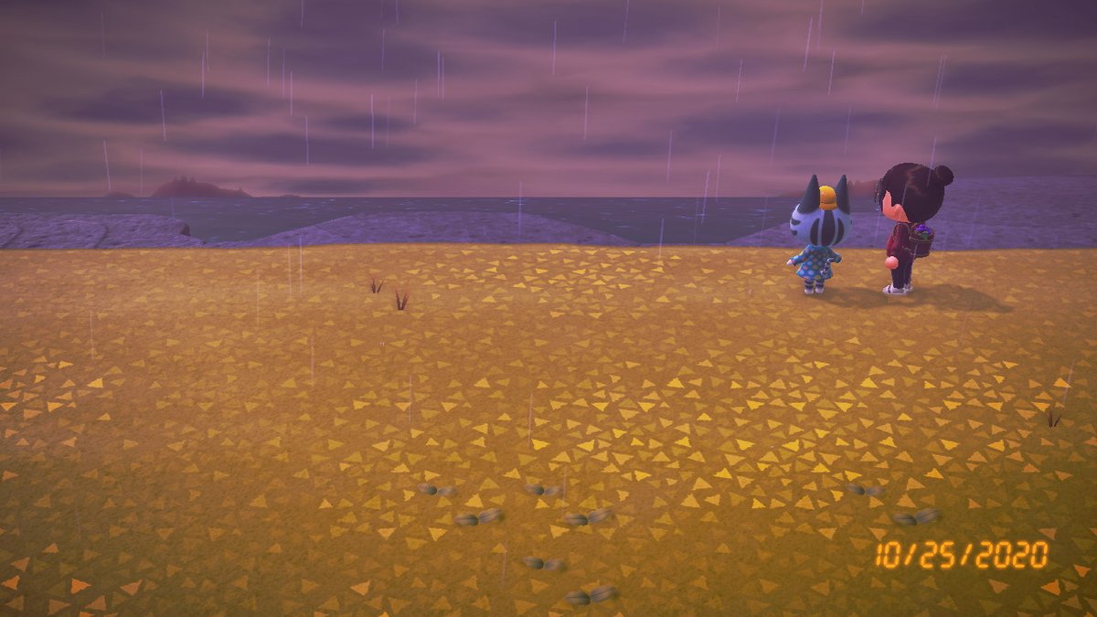 rooicrossing's tweet photo. finished all the special recipes!! acnl had really hard missions but this time was p easy #AnimalCrossing #ACNH #NintendoSwitch https://t.co/jxQDyjwpO7