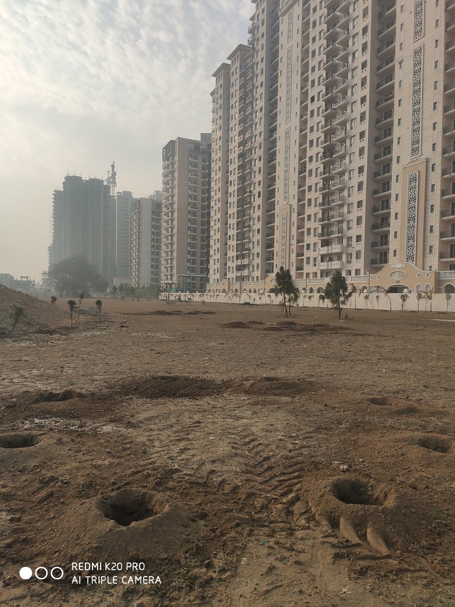 GreenGreno's tweet photo. Show must go on . #ProtectEcosystem
Location Greater Noida West. Plant more they are lungs of earth. @dr_maheshsharma @PankajSinghBJP @PankajSingh_in @jeetsanwar @ErikSolheim @OfficialGNIDA @PMOIndia @UPGovt @Satishmahanaup @richaanirudh https://t.co/rFjIGyOxbr