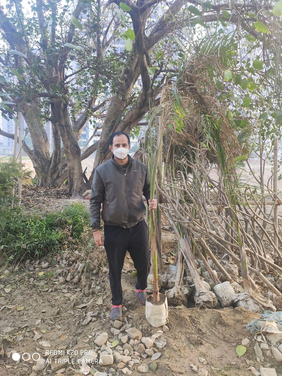 GreenGreno's tweet photo. Show must go on . #ProtectEcosystem
Location Greater Noida West. Plant more they are lungs of earth. @dr_maheshsharma @PankajSinghBJP @PankajSingh_in @jeetsanwar @ErikSolheim @OfficialGNIDA @PMOIndia @UPGovt @Satishmahanaup @richaanirudh https://t.co/rFjIGyOxbr