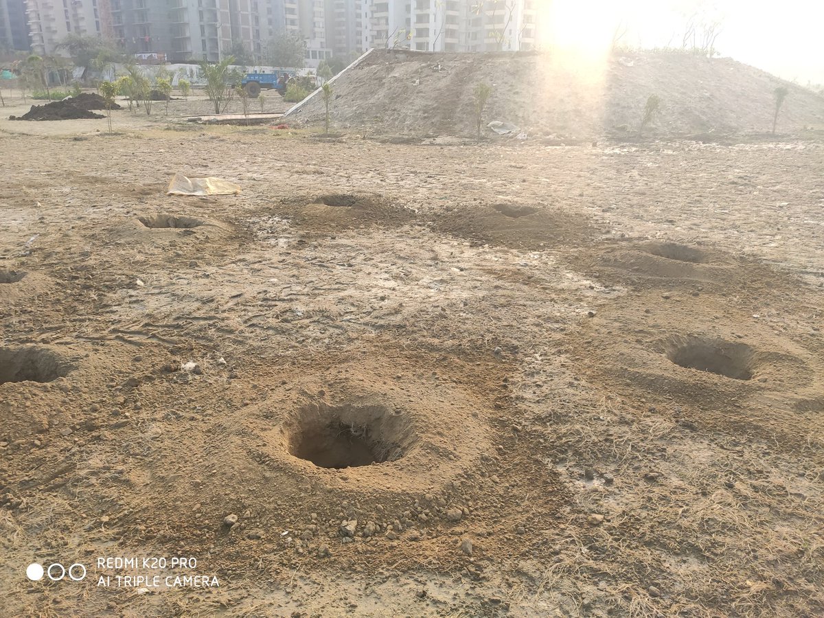 GreenGreno's tweet photo. Show must go on . #ProtectEcosystem
Location Greater Noida West. Plant more they are lungs of earth. @dr_maheshsharma @PankajSinghBJP @PankajSingh_in @jeetsanwar @ErikSolheim @OfficialGNIDA @PMOIndia @UPGovt @Satishmahanaup @richaanirudh https://t.co/rFjIGyOxbr
