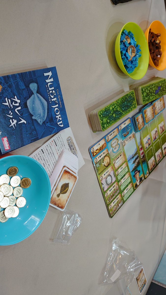 雀宮ボードゲームカフェキャット キャットオープンしましたー 早速ヌースフィヨルド 拡張のカレイデッキ