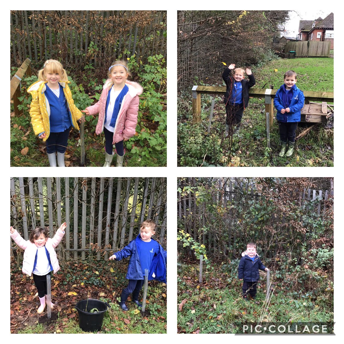 wvpsEYFS's tweet photo. Robins had great fun planting the trees from @WoodlandTrust ! We talked about how to keep our saplings safe and help to make our forest school a bit more forest-y! #EYFS #WVPS #LetItGrow #ForestSchoolFun #FreeTrees 🌱🌳 https://t.co/J3PxaaVcCX