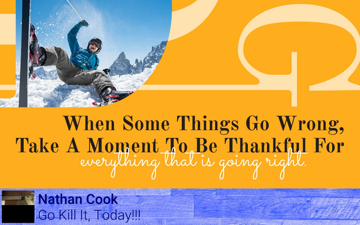 Nathan Cook tweet media