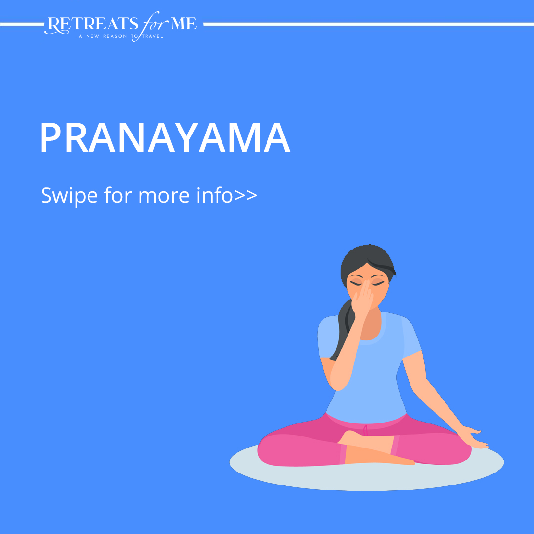 RFMAcademy's tweet photo. Special Ayurvedic decoctions, Yoga, Pranayama, Meditation, strict personalized diet plan focus on body cleansing and boosting immunity.
#rfm #retreatsforme https://t.co/Y2zc5xS4Fv