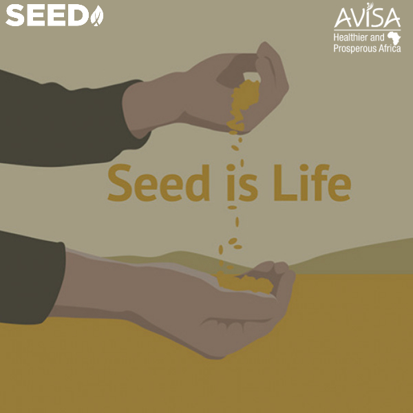 AfricaSeeds's tweet photo. RT @AvisaProject: #SEEDx collects granular, accurate and real-time data from wide demonstration plots of new varieties. Wondering how? Watch this video : https://t.co/IUHX2egvCf
#SEEDxLaunch #Data4seeds #Tech4improvedseeds #AvisaProject https://t.co/HQjqDqmxF6