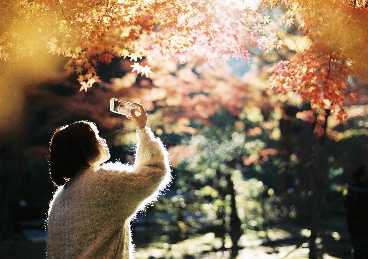 hirophotograph_'s tweet image. 錦秋。
#film #filmphotography
#coregraphy #photography