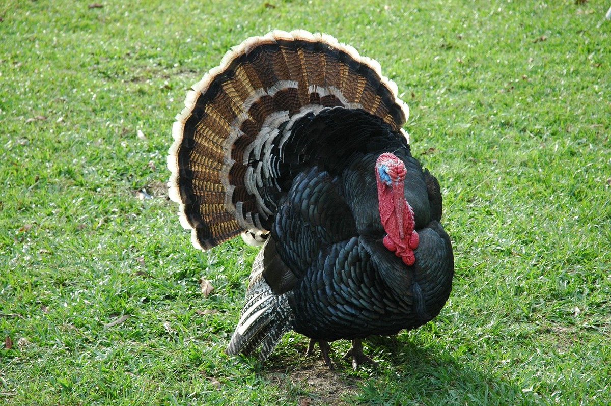 HuntGroupRealty tweet picture