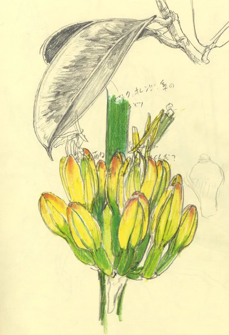 アイデアスケッチです。

右の絵は、描いてはみたものの、最終的に今回の作品には入らないかな、と判断して入れるのをやめたものです。 