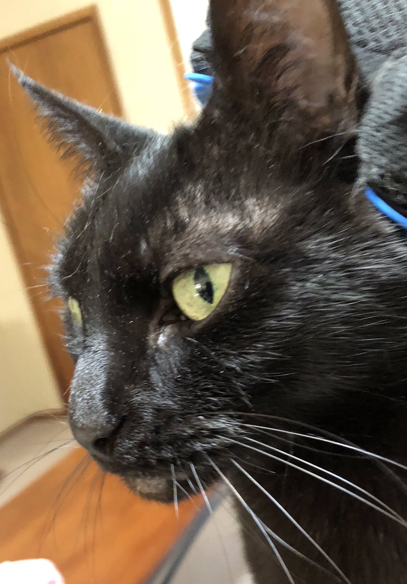  Happy Birthday too yoo.  Nelly. 20. Yoo is getting old.  Jadey   