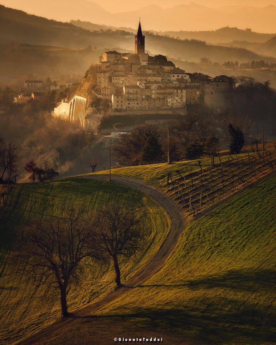 MarcheTourism's tweet photo. #Castignano emerge dalla nebbia come in un sogno... Sapete che ha il vanto di possedere il più remoto alfabeto italico fino a questo momento ritrovato? È contenuto nella famosa “Stele di Castignano” rinvenuta nel 1890
Leggete qui 👇
https://t.co/Q3wGfC2i6G
#destinazionemarche https://t.co/MHP9ea6M4i