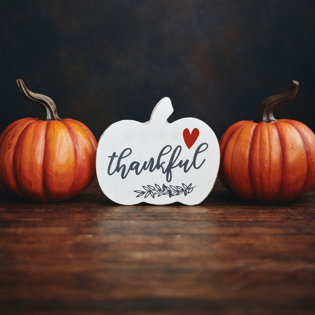 WatertownWorks's tweet photo. 2020 has been a trying year for many, but the Watertown Development company would like to wish everyone a Happy Thanksgiving and remind you that there are still plenty of things to be thankful for! https://t.co/wRhpjn3MVq