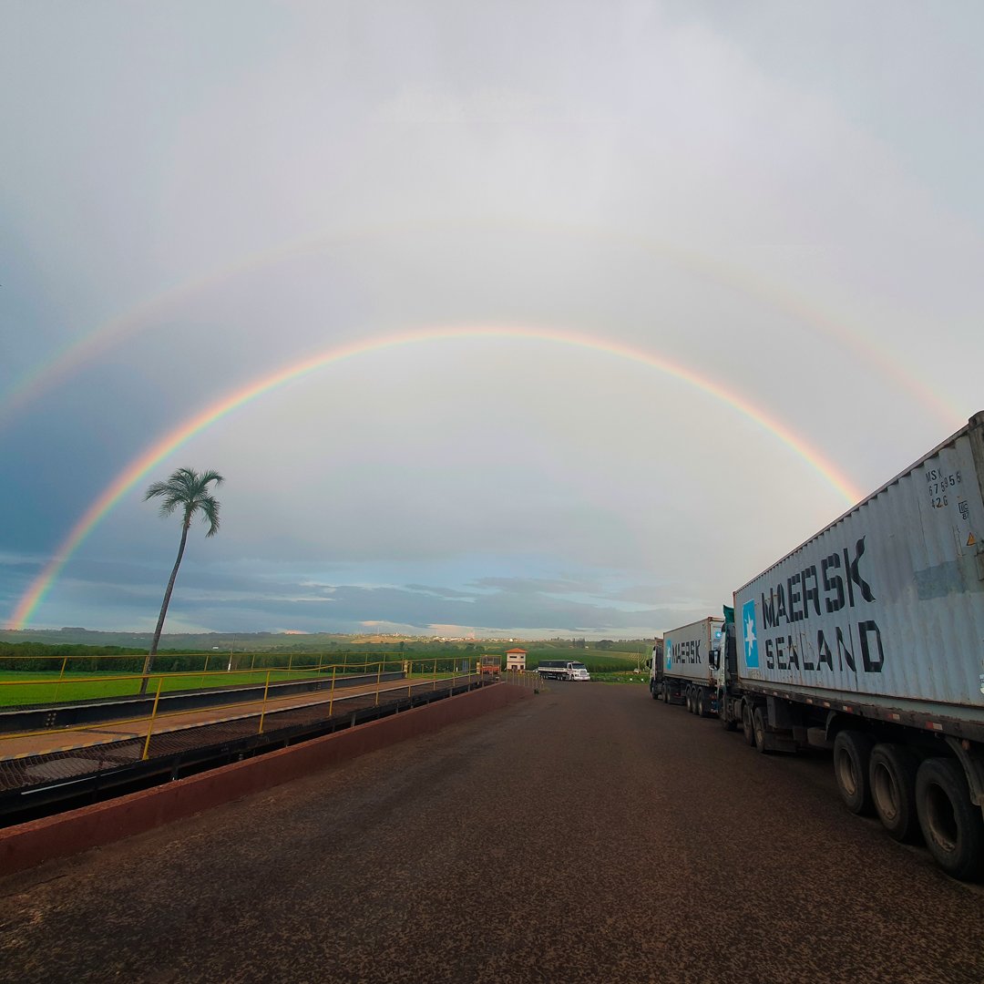 ocoffeebr's tweet photo. Somewhere over the rainbow...

#coffee #specialtycoffee #ocoffee #farm #agriculture #cafesdobrasil #altamogiana #cafe #cafeespecial #fazenda #agro #sustainablefarming #sustainablecoffee https://t.co/EkI0M1lreQ