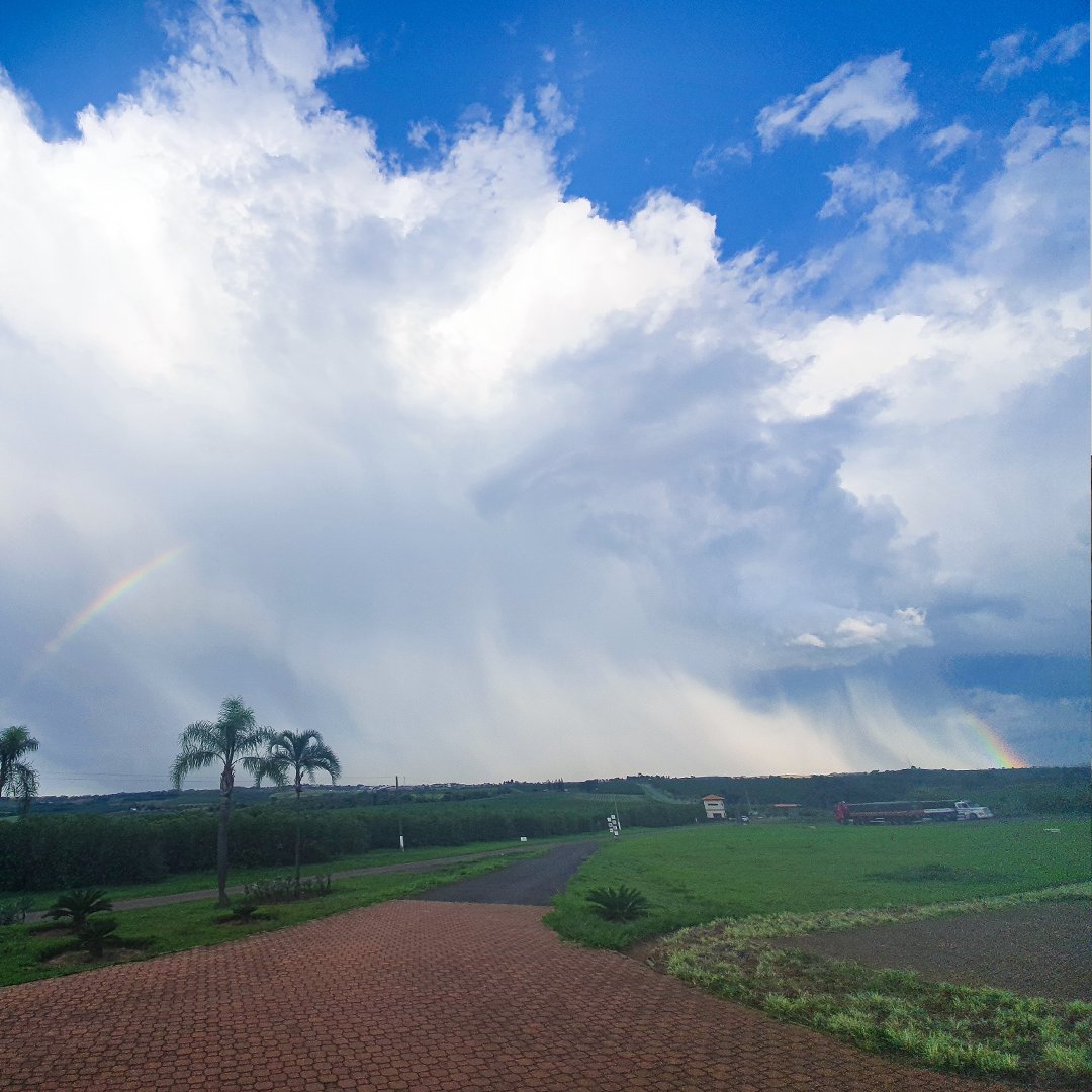 ocoffeebr's tweet photo. Somewhere over the rainbow...

#coffee #specialtycoffee #ocoffee #farm #agriculture #cafesdobrasil #altamogiana #cafe #cafeespecial #fazenda #agro #sustainablefarming #sustainablecoffee https://t.co/EkI0M1lreQ