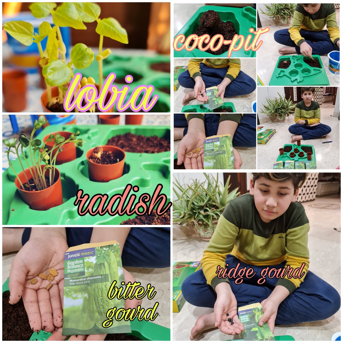 PriyaJa10254402's tweet image. #junglemagic #funtolearn about growing vegetables @ashokkp @y_sanjay @sunita_rajiv @pntduggal @BahlNamrata @harprit_r @nayyarkanika @SunitaS45385032 @SDG4QEducation