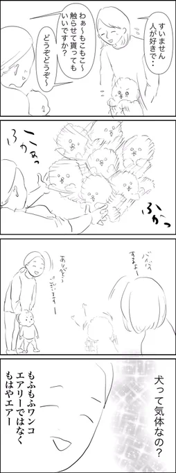 猫が液体なのは知ってたけど 