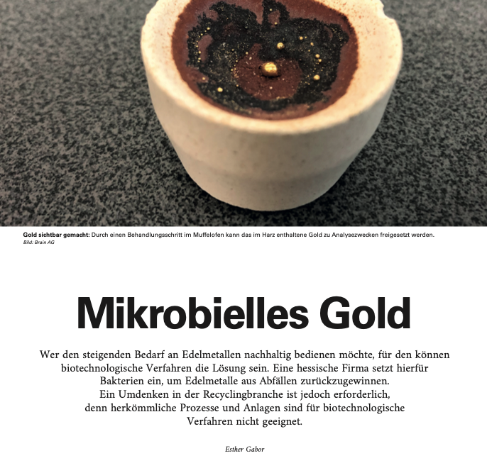 BRAINbiotech's tweet photo. Schöner Artikel von unserer Kollegin Esther Gabor, veröffentlicht im UmweltMagazin. Es geht – natürlich – um Esthers Lieblingsthema, das #Gold #Biomining! 👉 https://t.co/Duo6qUiZ2l
#BioXtractor #Biotechnologie #Kreislaufwirtschaft #Umwelt #mikrobiellesGold https://t.co/I3N4uQeFHQ
