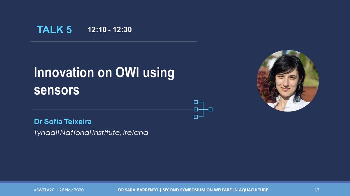 csar_ace's tweet photo. Dr Sofia Teixeira is working @TyndallInstitut on the development of immunosensors/biosensors including sensors to measure lactate, pH, and cortisol #SWELA20 #symposium #webinar #freewebinar #webinars #fish #aquaculture @Access2Sea @aac_europe @AquacultureMag @thefishsite https://t.co/eERHU5XiKF
