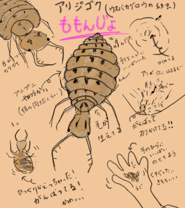 『ももんじょ』

小学生の頃めっちゃハマってて、その可愛さをイラストにしてみたよ。

名前の響きも可愛いよ、ももんじょ。 
