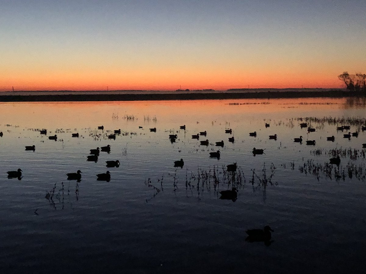 JohnJohn001's tweet photo. @spann nice view this morning in hunting pit https://t.co/RxB36Jgl8W