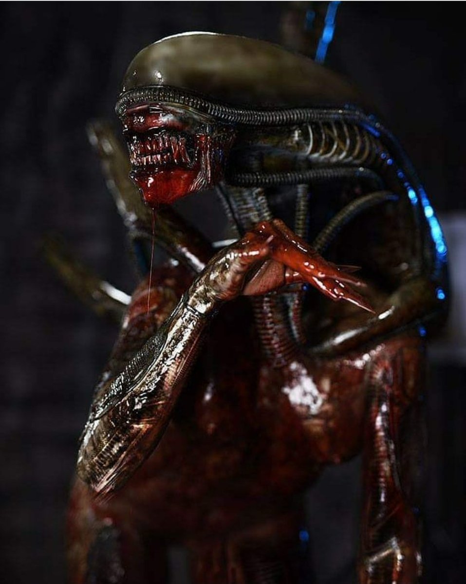 Luisnostromo's tweet photo. Si vas a disfrazarte de Alien pues ponte en serio como esta chica
Maquillaje y foto @HorrifyMeUK
#Alien #Bigchap #Xenomorph #maquillaje #Cosplay #creaturemakeup #horrorcreature https://t.co/aXFojfEZuw