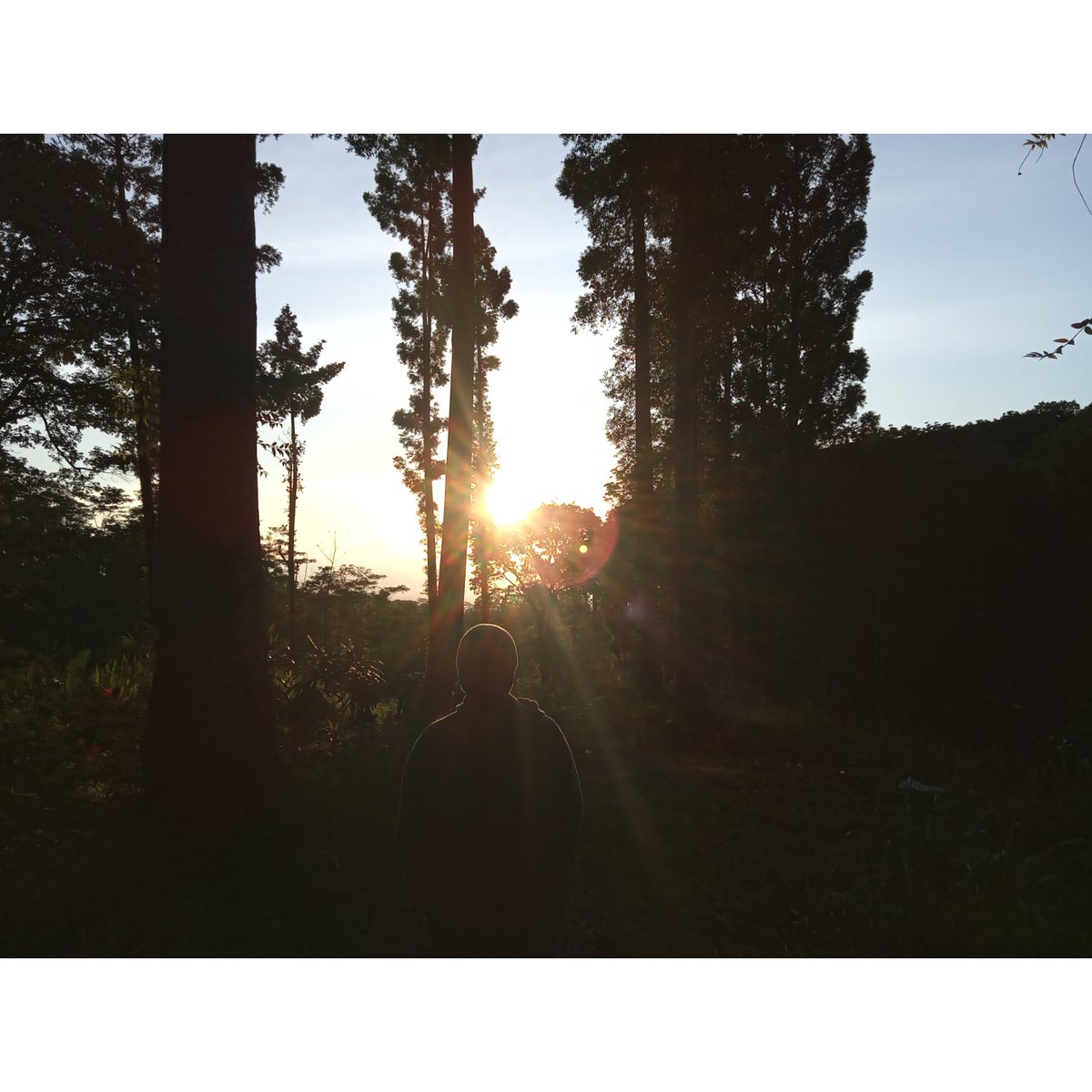 IrgiRamadhan20's tweet photo. Sunsilkkk..... https://t.co/FHs4PMApij