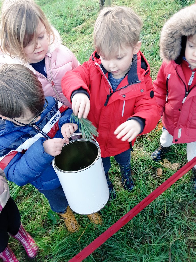 AshbridgeMaxy's tweet photo. A short mindful exploration and a walk to find pine needles. #discoverybasedlearning #eytalking #forestethos #outdooratelier #forestnursery #teamwork #naturelovers #atelier https://t.co/fdZw5dhkEW