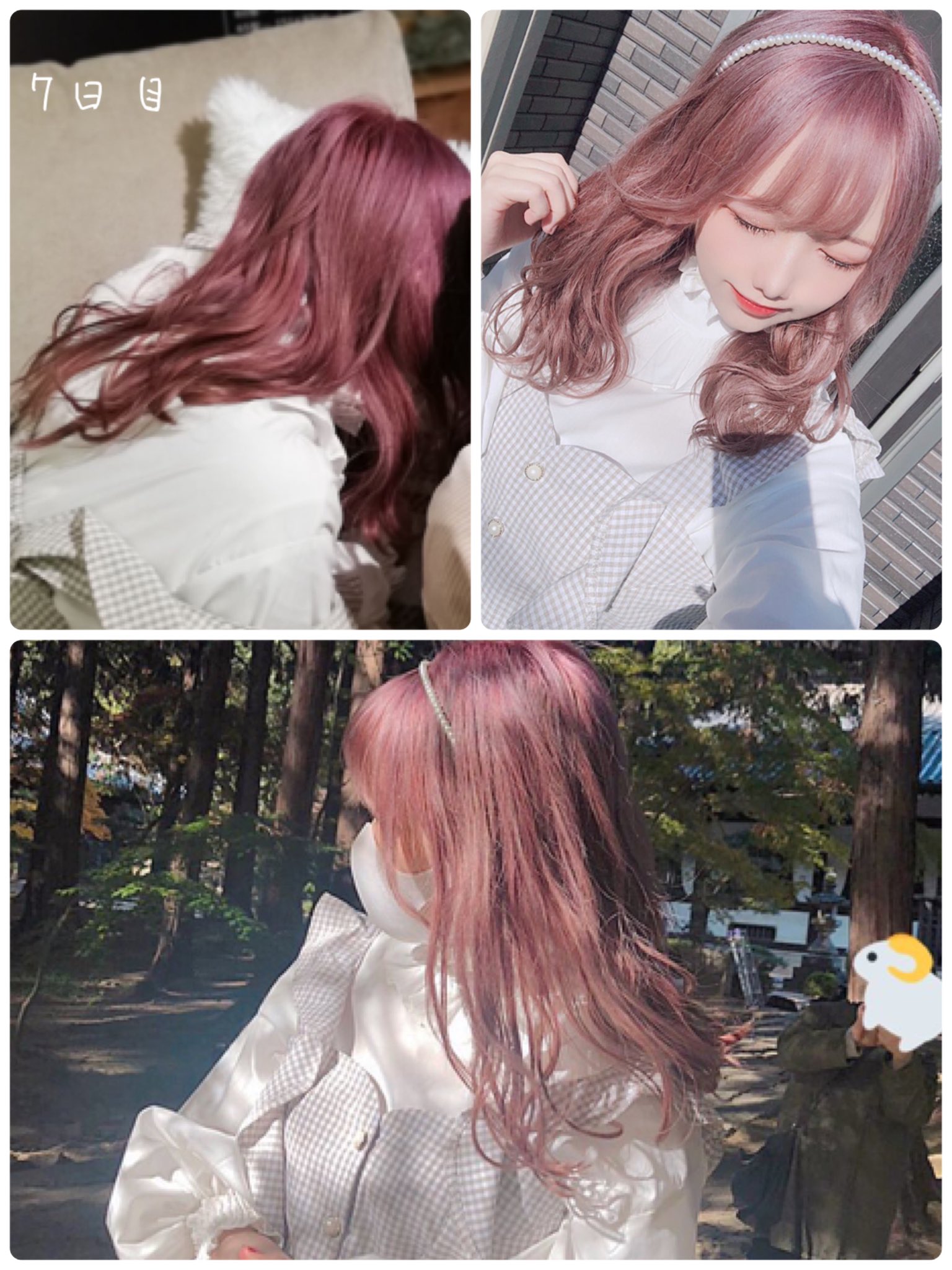Liii ラベンダーピンクヘアの色落ち経過 Q 実際どのくらい色持ちする 色落ち過程をまとめてみました T Co Sh9v9t7l4u T Co V0pii1d9qd Twitter