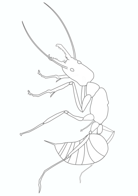 リアル系のtwitterイラスト検索結果 リアル系のtwitterイラスト検索結果