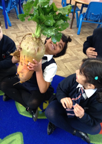 SoulsSchool's tweet photo. In Reception this week Miss Thomas found an enormous vegetable on her walk! It reminded them of the enormous turnip. Disaster struck when their vegetable was tied to Miss Thomas’ chair by Evil Pea! They found clues in their story “Supertato” @suehendra @PaulLinnet  #evilpea https://t.co/GMlkhyNzHw