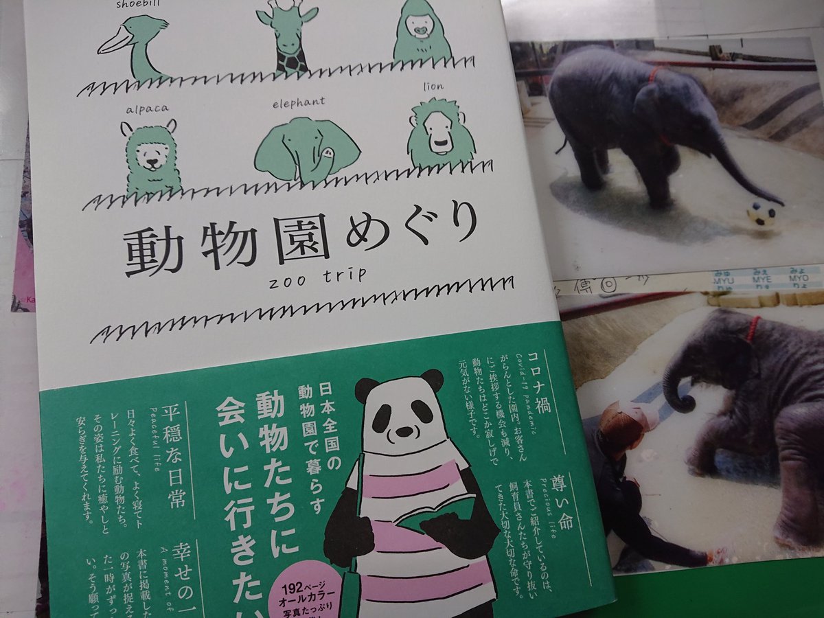深草 Fukakusa 今までの動物園 のガイドブックと違い 気になるあの子 が沢山登場する一冊です 日本三大アジアゾウもちゃんと名前 も併せて紹介してます リカさんと娘たち 笑 やツイッターで良く見かけるあの子も 面白いな O O 深草 Fukakusa 今までの動物園 のガイドブックと違い 気になるあの子 が沢山登場する一冊です 日本三大アジアゾウもちゃんと名前 も併せて紹介してます リカさんと娘たち 笑 やツイッターで良く見かけるあの子も 面白いな O O