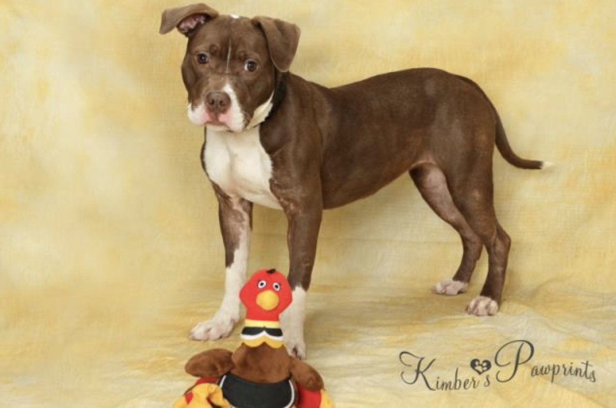 humane society near ne