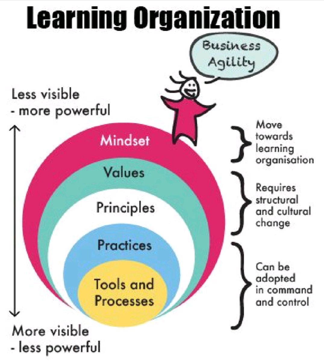 Learning organisation. Learning organisation