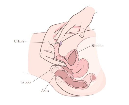 Now you'll have to apply some pressure just like on the 1st frame to enable the bladder release some urine.• now combine & stimulate her clitoris from the inside and outside Just like in the 2nd frame. She will definitely want your dick but don't give her