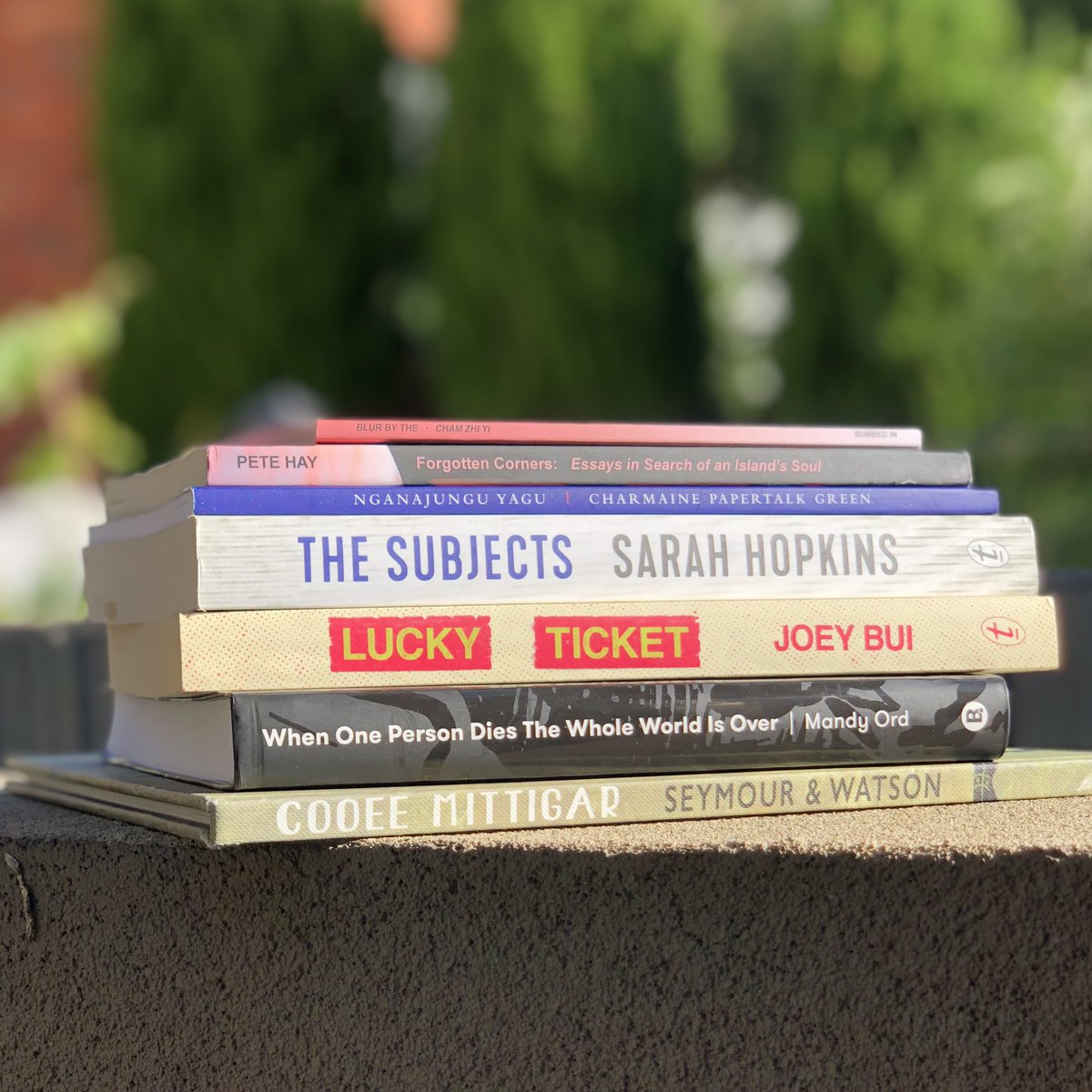 👏🍾🥳The @smallpressau’s Book of the Year shortlist is out! I was a judge this year, and was honestly blown away by these seven books. Reading each one felt like a little thrilling discovery. Congratulations to all the authors, artists and publishers! #indpubcon #BOTY2020