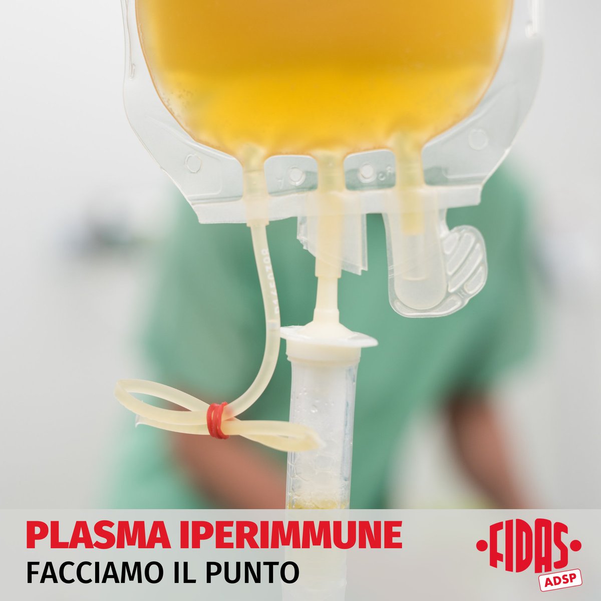 FidasAdsp's tweet photo. Sul nostro sito https://t.co/SLyvjUYdFO un approfondimento sul #plasma iperimmune e su quanto sta accadendo nella nostra Regione.

📰Link articolo: https://t.co/eL4tqIohXS

#Piemonte  #Covid_19 #donasanguedonavita #COVID19 https://t.co/VJhwaDZao2