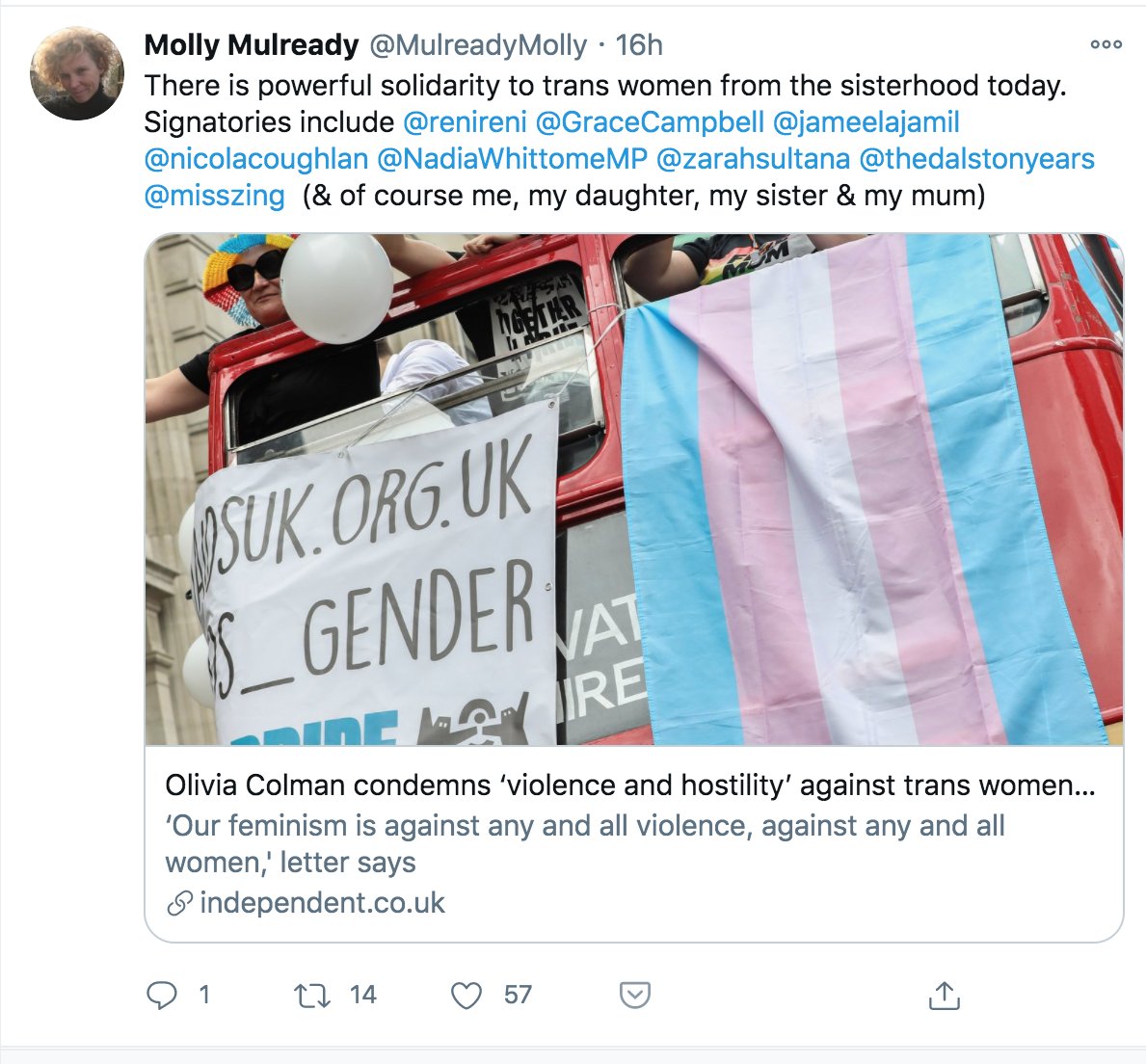 'On this, the day for the elimination of patriarchal violence against women, we, the good maidens, affirm our commitment to the first rule of patriarchy: female people must never be allowed to centre their own needs, experience or interests, because other people matter more.'
