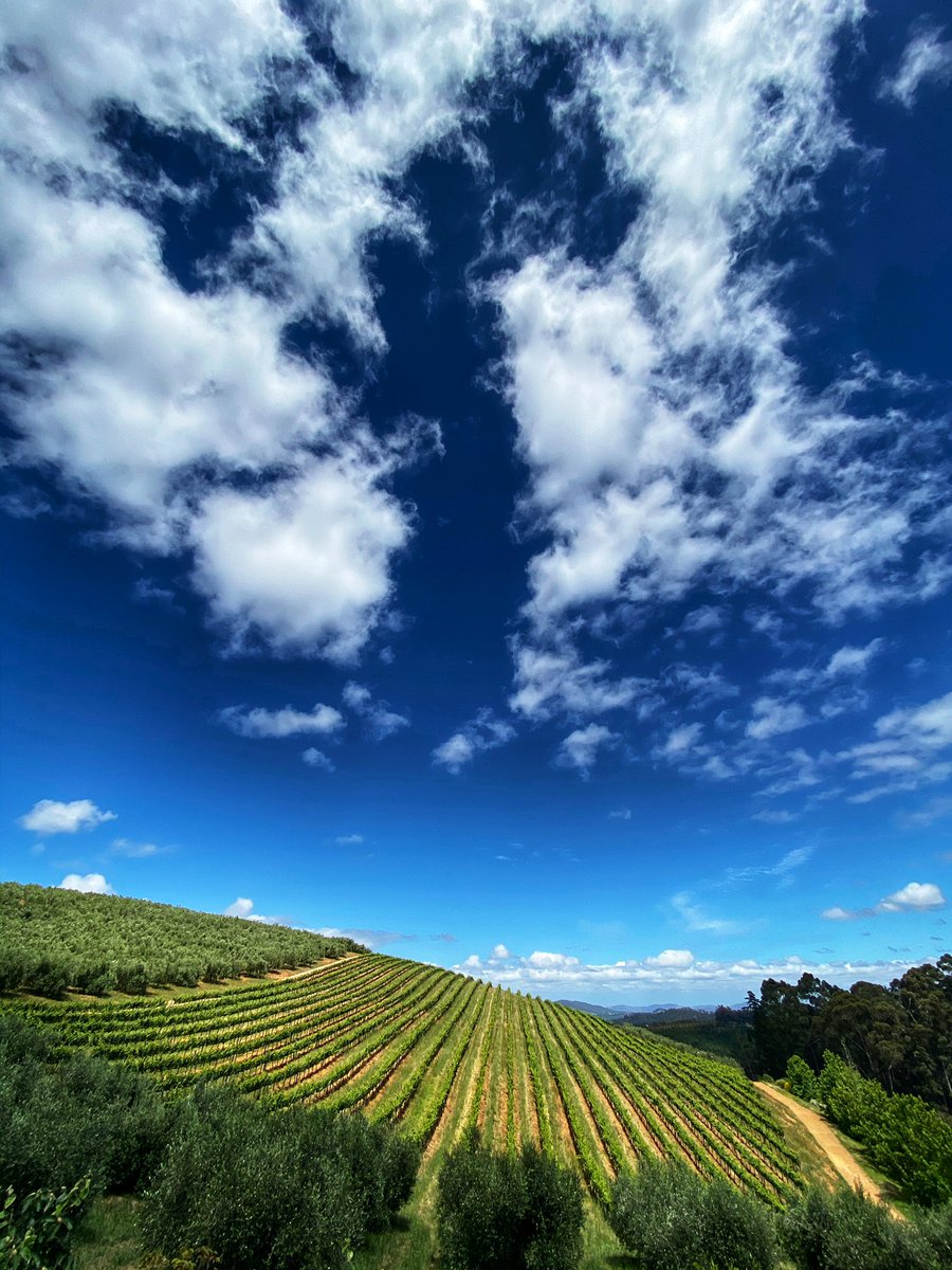 KarlLambour's tweet photo. @GC_Com @TOKARAestate @Jenny_Handley @themood____ @food24 @Eat_Out @litlhedonistCPT @livingitupct @deliciousy_lia @SARIETydskrif This is what awaits you... https://t.co/dAnwmRXjL3