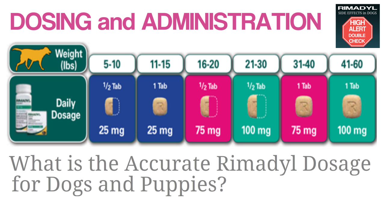 Sherry Dufresne On Twitter Rimadyl Overdose Is Rimadyl Dangerous For My Dog Https T Co Ygfd8il2bu Dogs Doglovers Dogsoftwittter Https T Co J3fyez0h60 Twitter