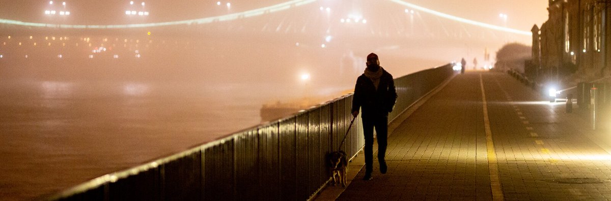welovebudapest's tweet photo. Ever wondered how Budapest’s streets look after curfew? Photographer Sándor Csudai captures the ghostly city patrolled by dog owners and their pets:
https://t.co/JOW93Q2zPQ https://t.co/KKE3wQkyTZ