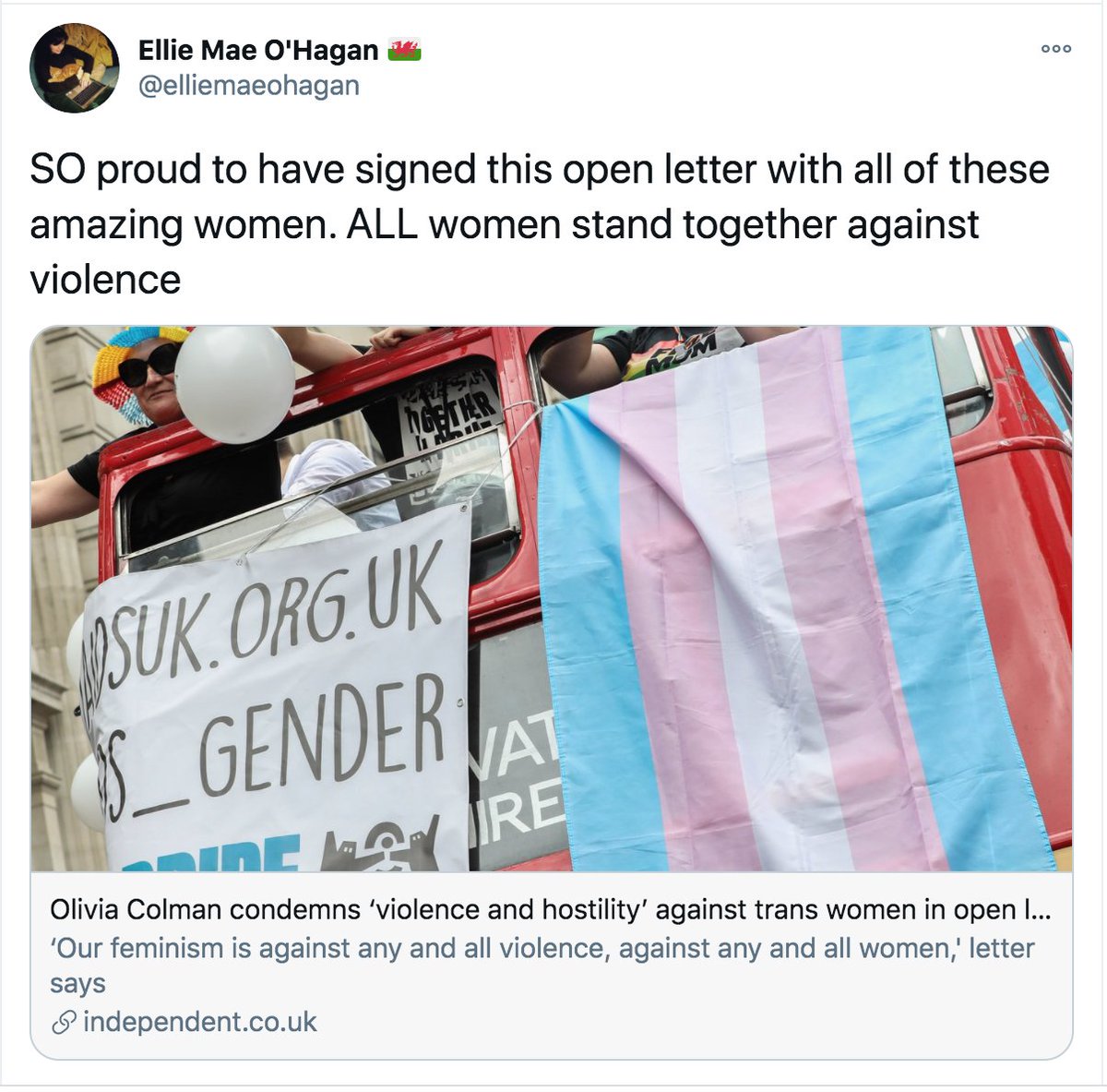 'On this, the day for the elimination of patriarchal violence against women, we, the good maidens, affirm our commitment to the first rule of patriarchy: female people must never be allowed to centre their own needs, experience, or interests because other people matter more.'