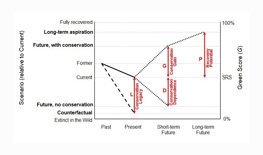 EJMilnerGulland's tweet photo. Great interview with Resit Akcakaya of @IUCNssc on new #GreenStatus of #Species metric; helps to avoid #shiftingbaselines, acknowledge #conservation success, set ambitious recovery targets https://t.co/2nrtOESH3T https://t.co/dzMEL0U5hL