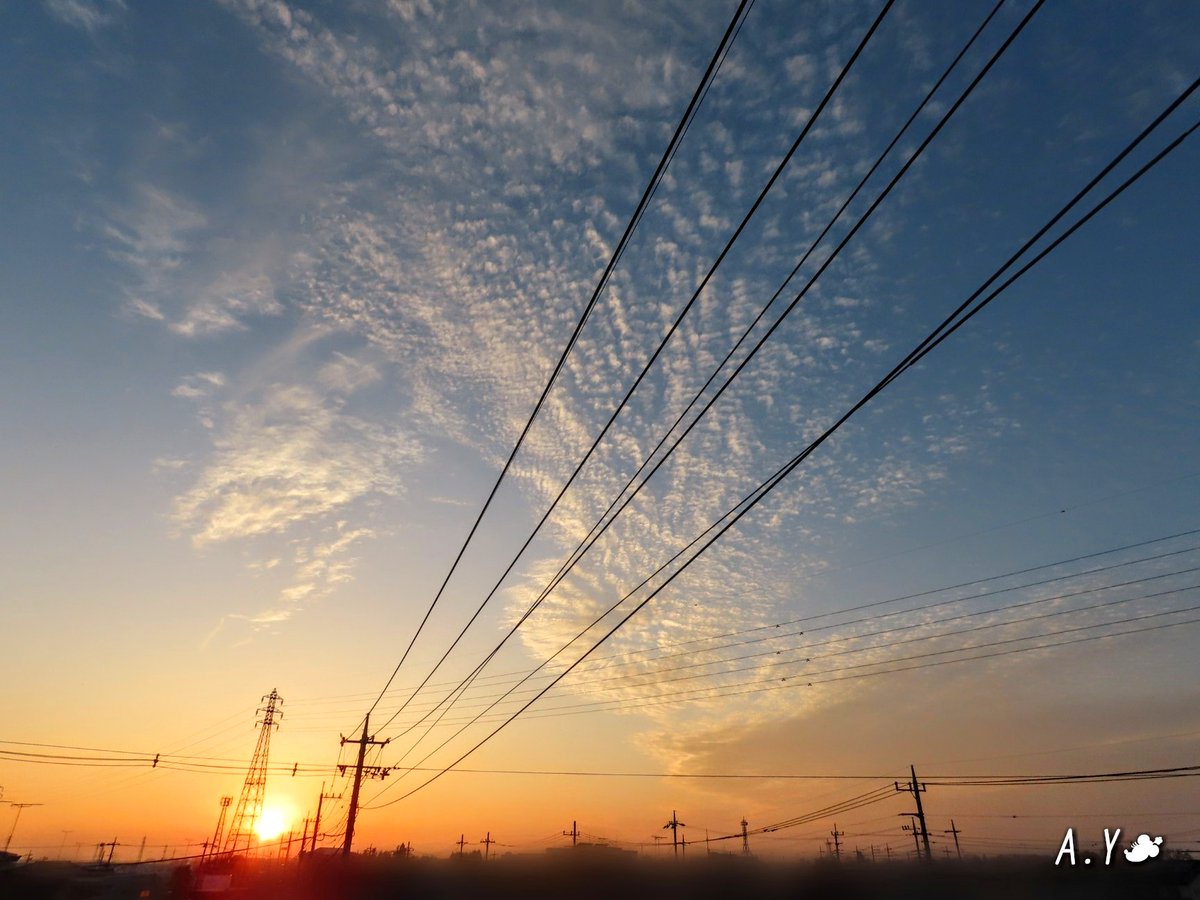 yumeasutw's tweet photo. 穏やかな夕空🌇
お疲れ様です🏁
午後から青空が覗き、軽やかな #巻雲 と波状の #巻積雲 が美しい夕空です💛
真ん丸 #夕日 が、オレンジ色に西の空を染め上げ沈んで行きました。
#夕空 #夕焼け #鉄塔 #電線 #電柱
#空の名前
#雲の教室
#黄雲
#波状巻積雲
#ゴールデンアワー
#a2020 #a1126 #a202011 https://t.co/50iibcd4L6